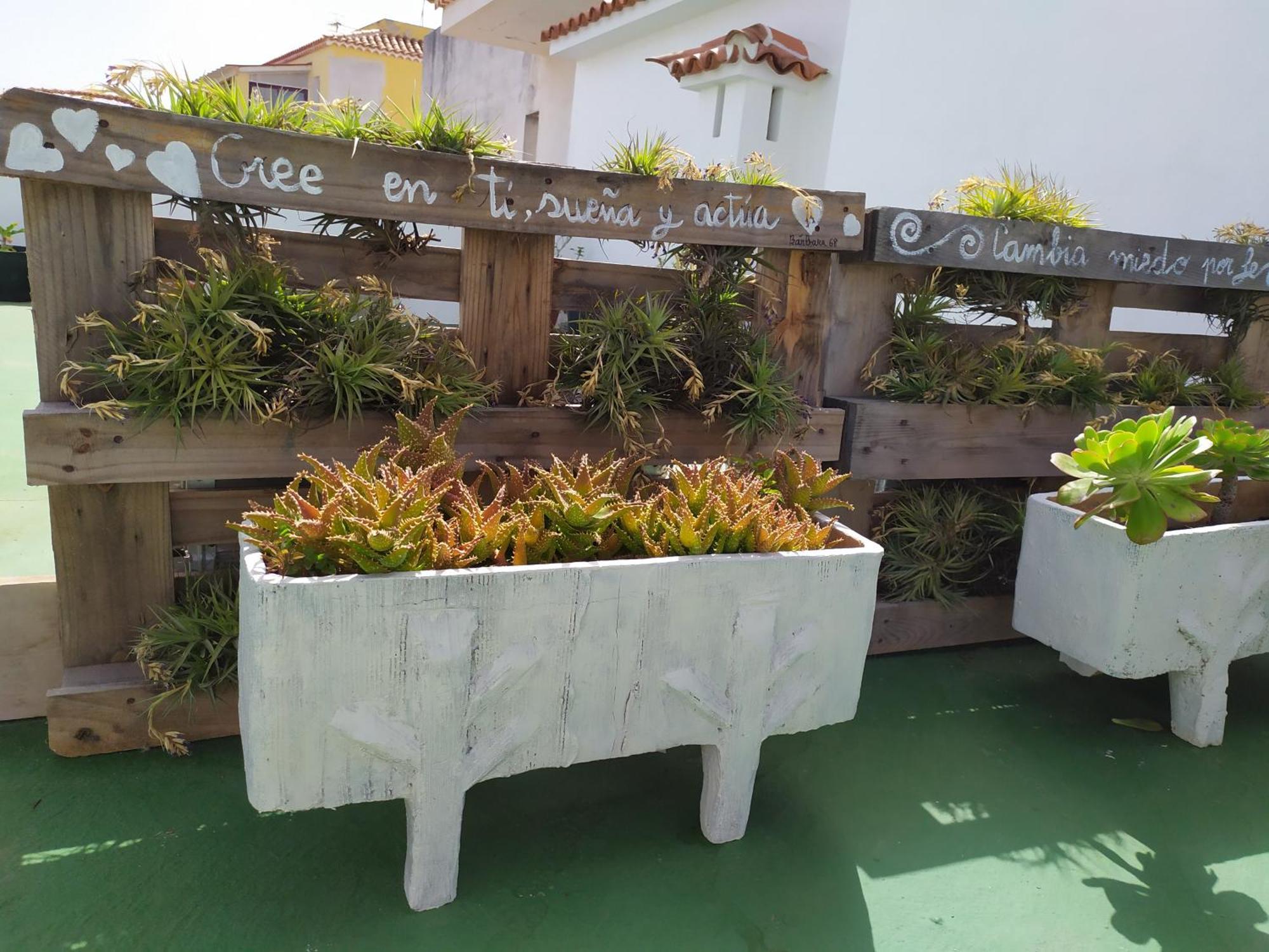 Comfortable Apartment In The North Of Tenerife Sauzal Exterior photo